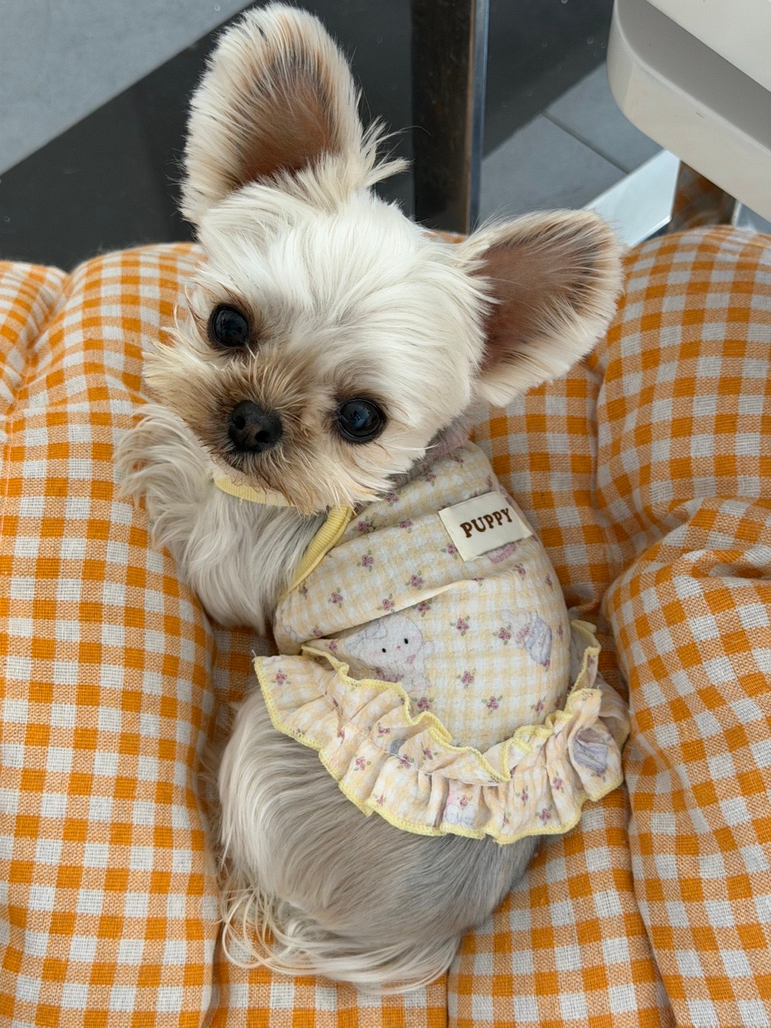 妈啊 大胡子的咸芝士抹茶好喝！！！ 扎扎的眼睛太大了眼白都没有我朋友说是他见过眼