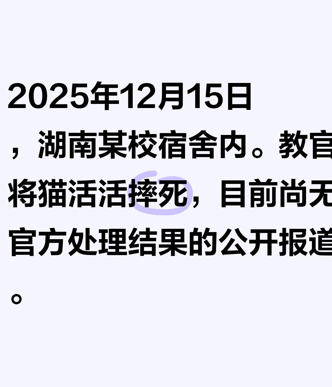 2025年12月15日，
湖南某校宿舍内，教官当众将猫活活摔死，目前尚无官方处理