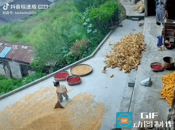 破防了。贵州，大雨将至，2岁萌娃在家收玉米辣椒，先拿起扫帚收玉米，再端起辣椒筐一