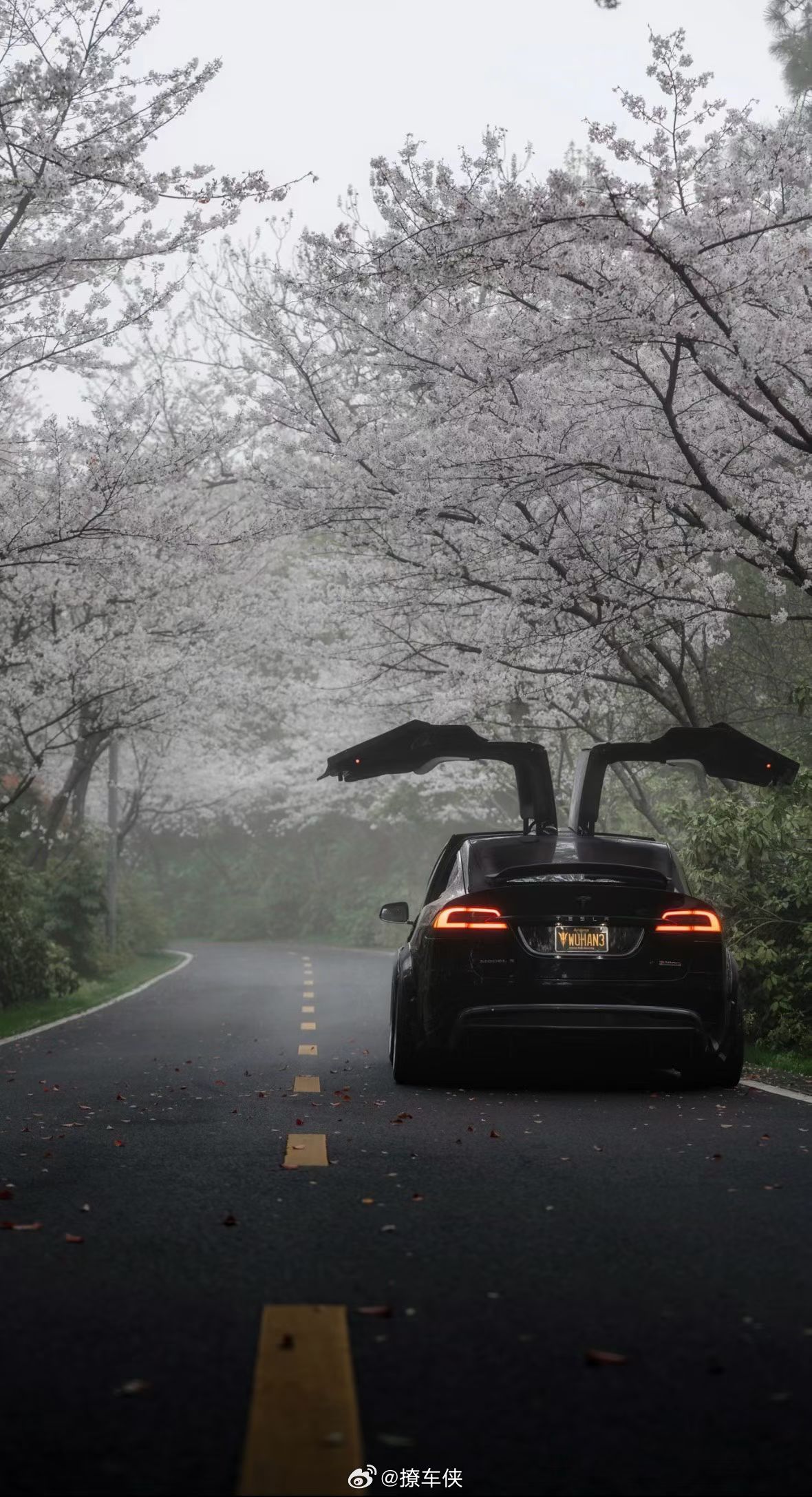 只要心态好，哪里都是巴厘岛。早安，我的工位版巴厘岛。早安