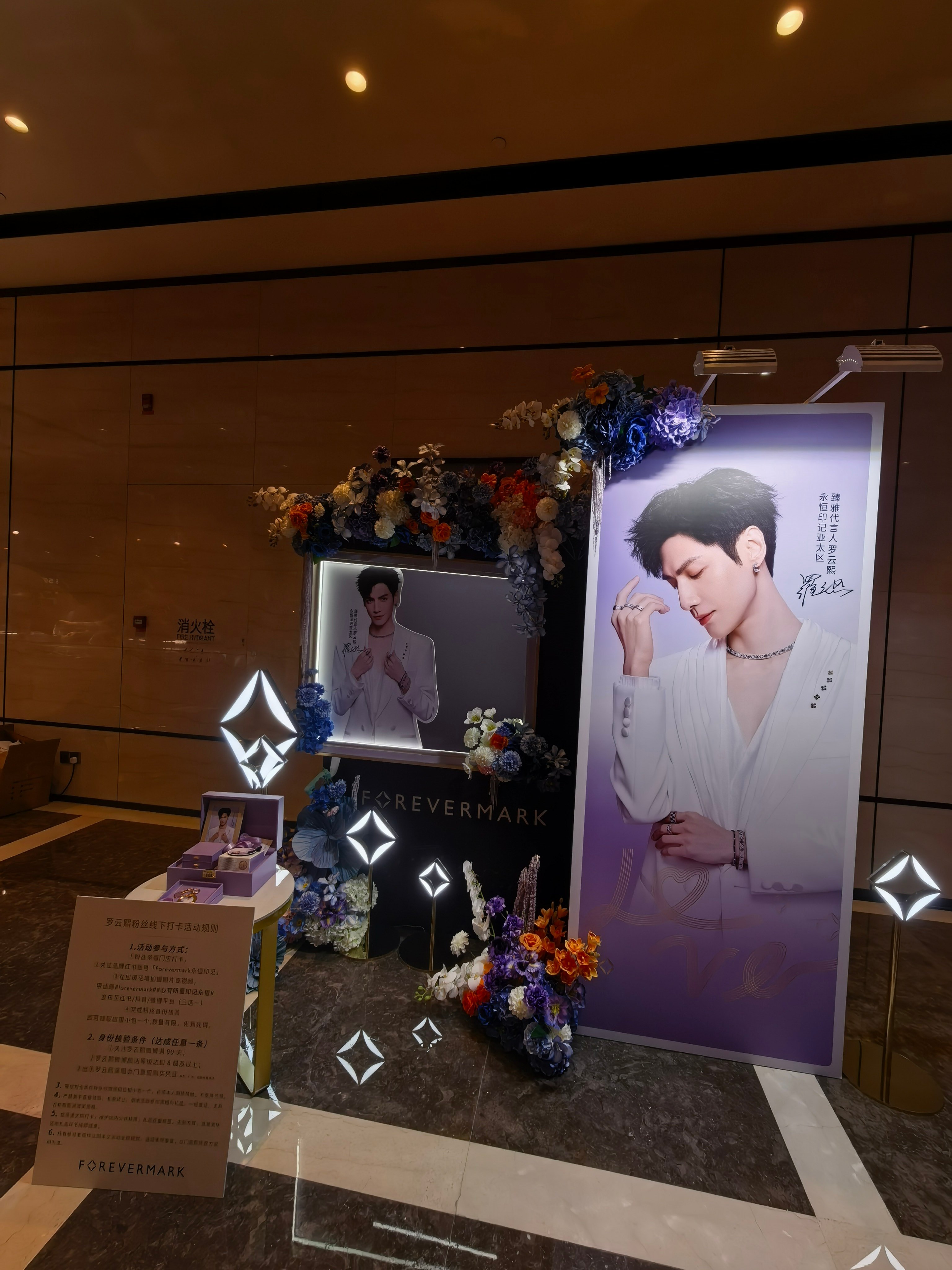 罗云熙 lyxForevermark永恒印记亚太区臻雅代言人罗云熙 lyx成都 