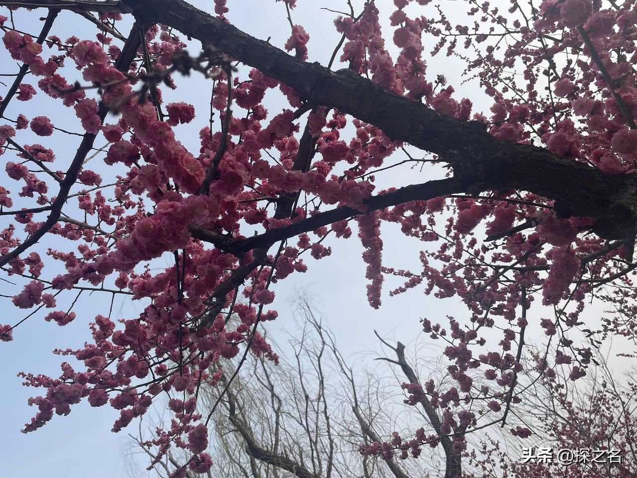 外卖小哥跳江救人后订单全超时，平台回应：全免责，奖励5万元

近日，浙江杭州外卖