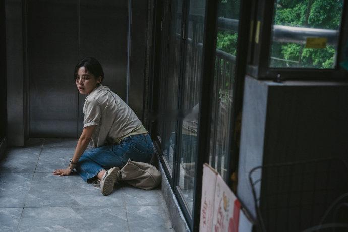 辛芷蕾导协年度女演员 我的妈呀辛芷蕾拿导协年度女演员了！从《繁花》到《日掛中天》