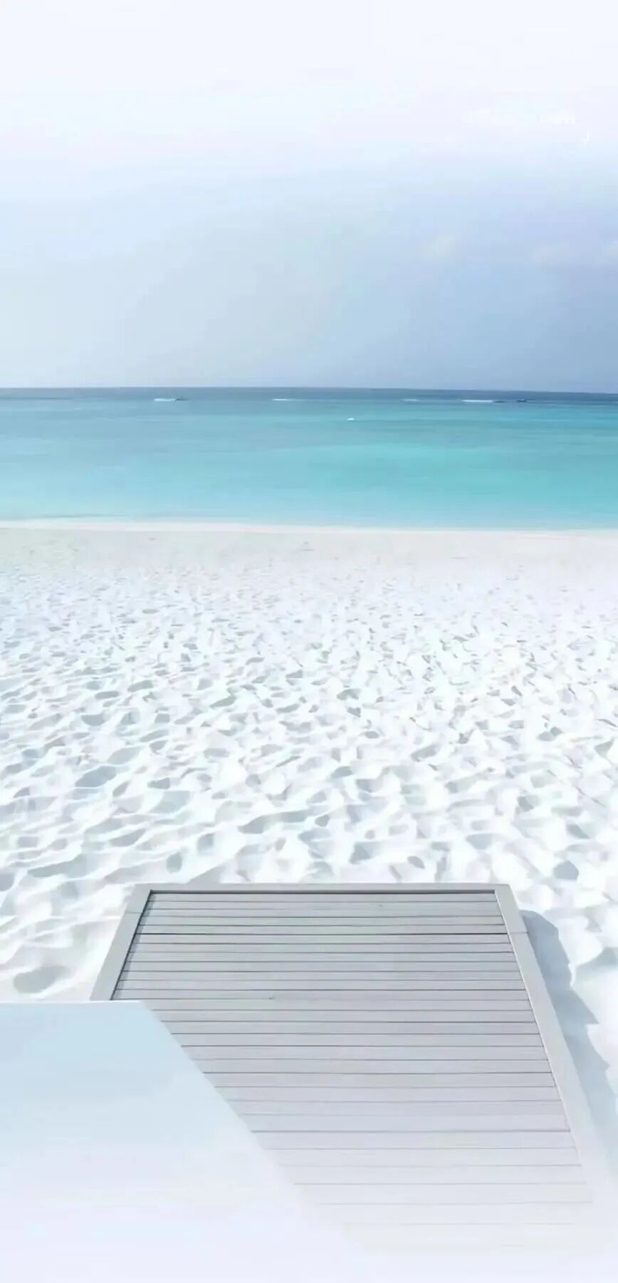 𝘀𝗵𝗮𝗿𝗲｜𝙒𝙚𝘾𝙝𝙖𝙩｜壁纸分享｜wallpaper｜i