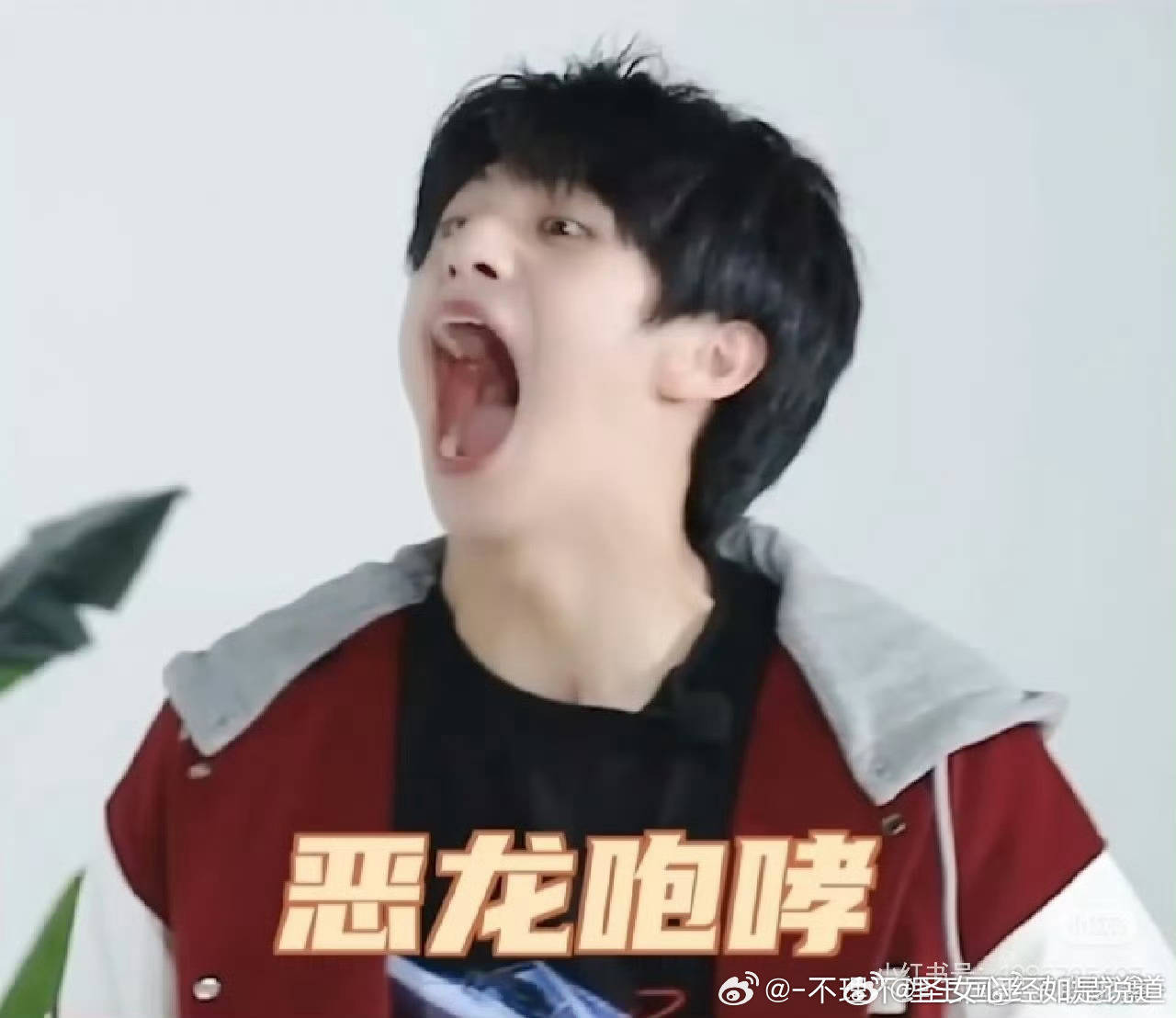 对于猪猪心衣服上印的是自己表情包这件事我真的觉得好可爱哦 
