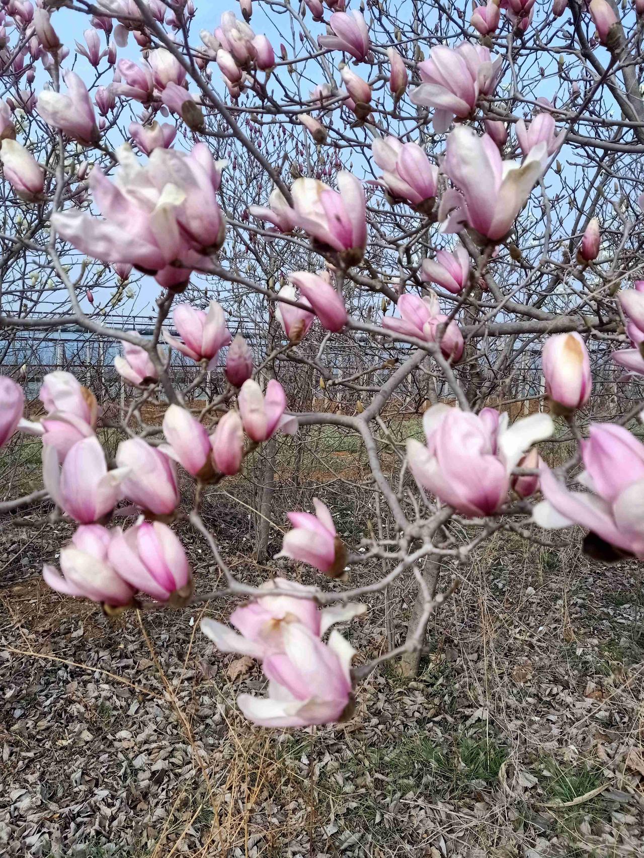 我的今日状态：🏝️旅行度假
我这里的天气：🌤️多云