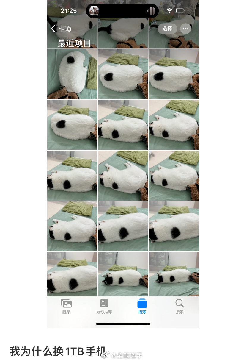 养宠物最费的其实是内存[喵喵] ​​​