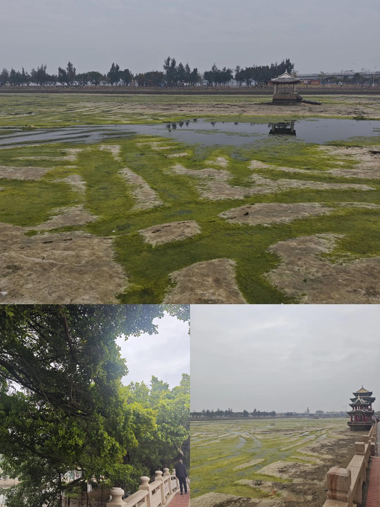 华侨子女可以免费读到博士后的集美学村，古色古香的土楼建筑，文艺美好的云水谣。