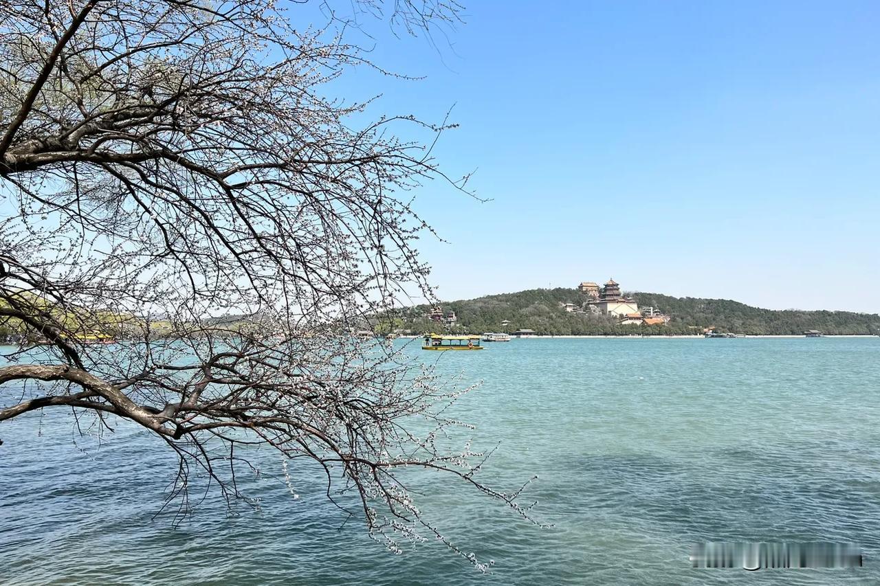 春分颐和园，风景美如画……
#春天与摄影# #原创摄影风景# #拍摄大自然美景#