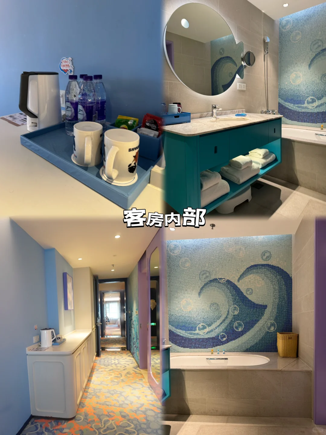 自己踩坑总结了怎么玩上海海昌海洋公园😭