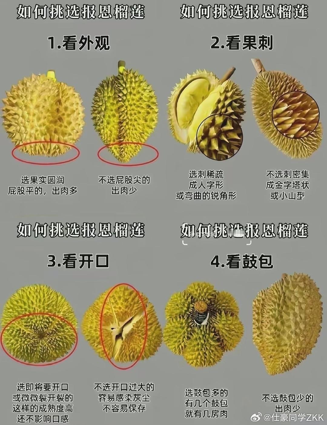 榴莲等等党赢了榴莲逐步进入上市旺季，随着中老铁路开通冷链物流的加持，受RCEP零