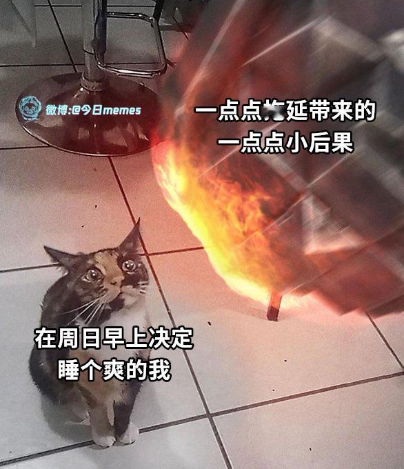 你舍得 今日meme[超话]   