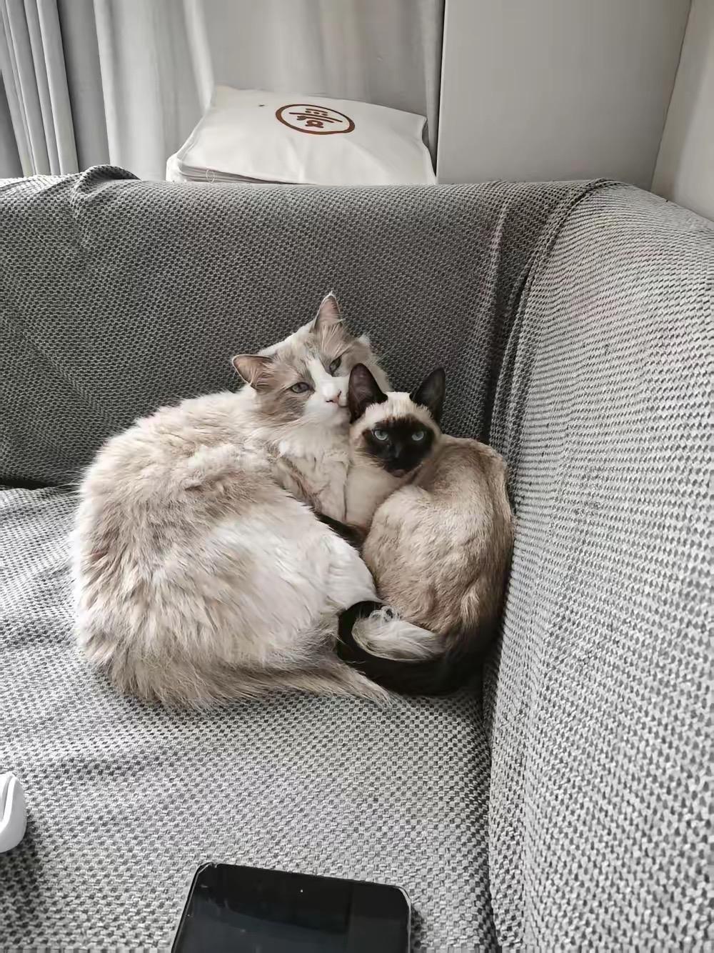 闺蜜今天厂里辞职了，她说儿子儿媳把她气得不行，她看不到希望，不想拼了，所以决定辞