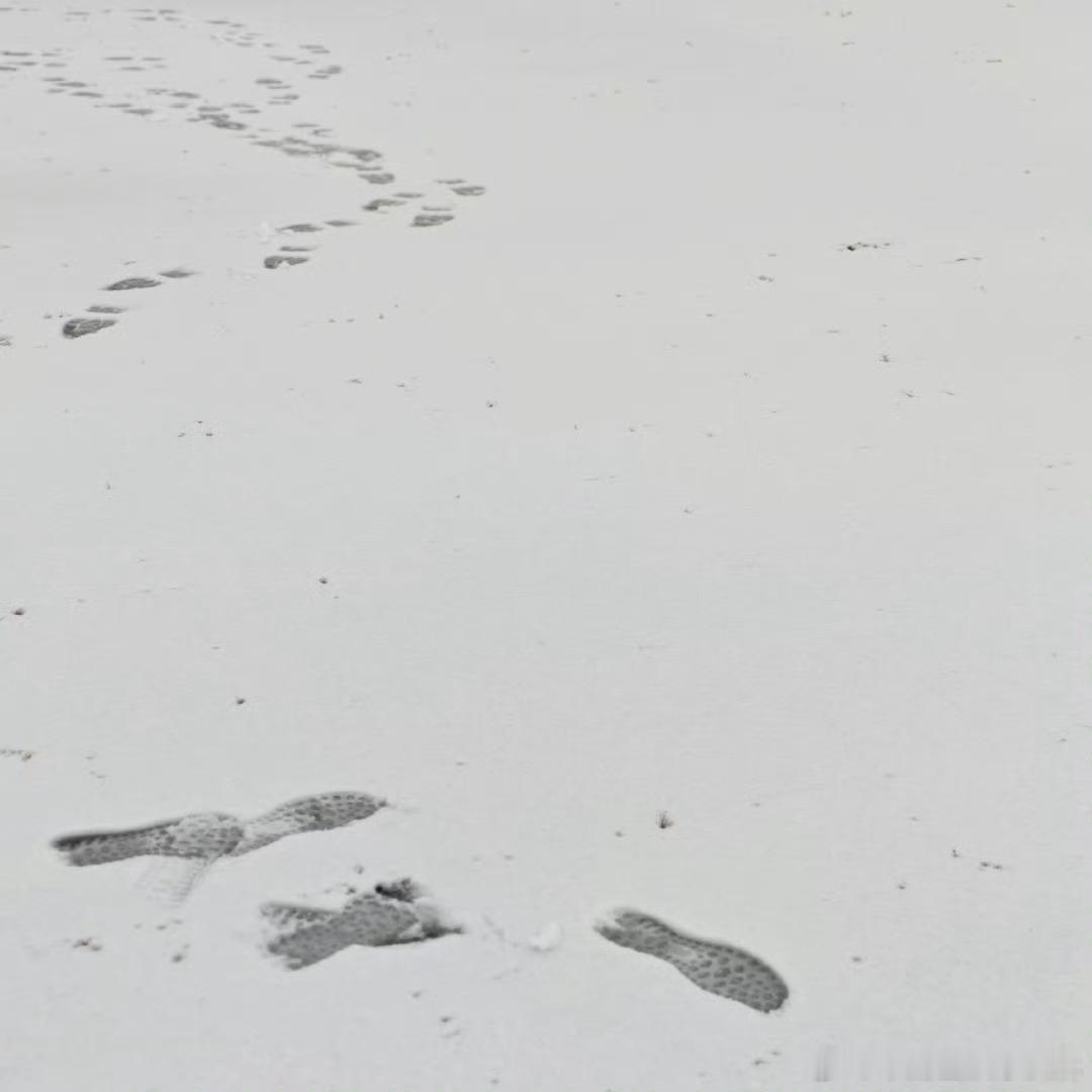 肖战雪地自拍在北方的南方人肖战嗯嗯 