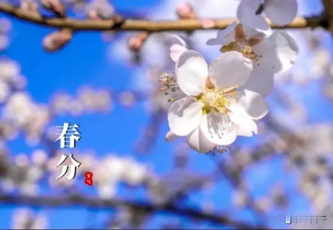 2024/03/20 新闻速读（让阅读成为一种习惯）：
​1、教育部发布2024
