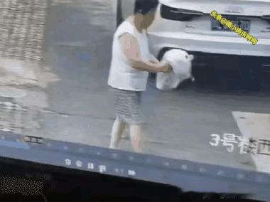 为的啥呢？
都提着来到垃圾桶旁了，不直接扔进去，干嘛还要再解开倒在外面呢？像仙女