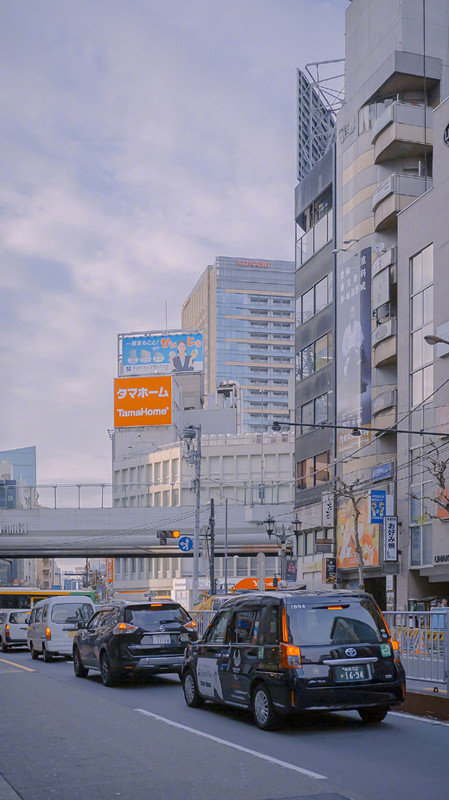这吹不出褶皱的平静日子，也在闪光。——  王源 ​ ​​​