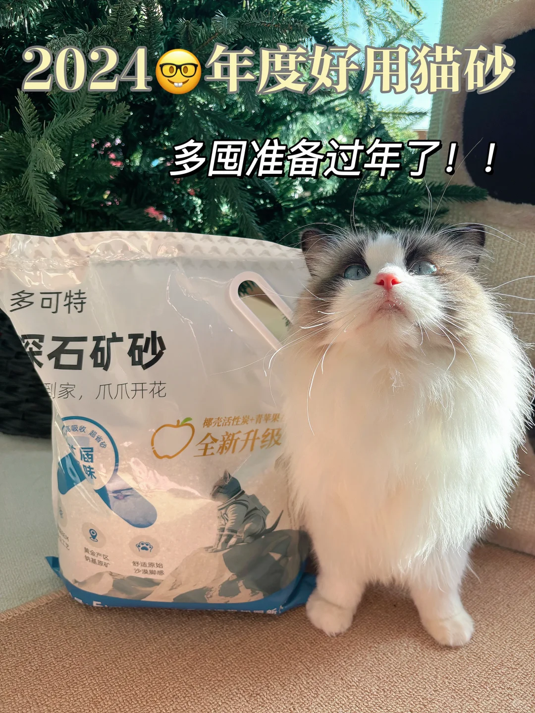 📕年度总结  | 养猫人mark 好用猫砂 ！