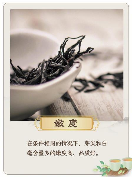 分享10招教你鉴别茶叶的好坏🉑一看就会🍃我的宝藏食谱