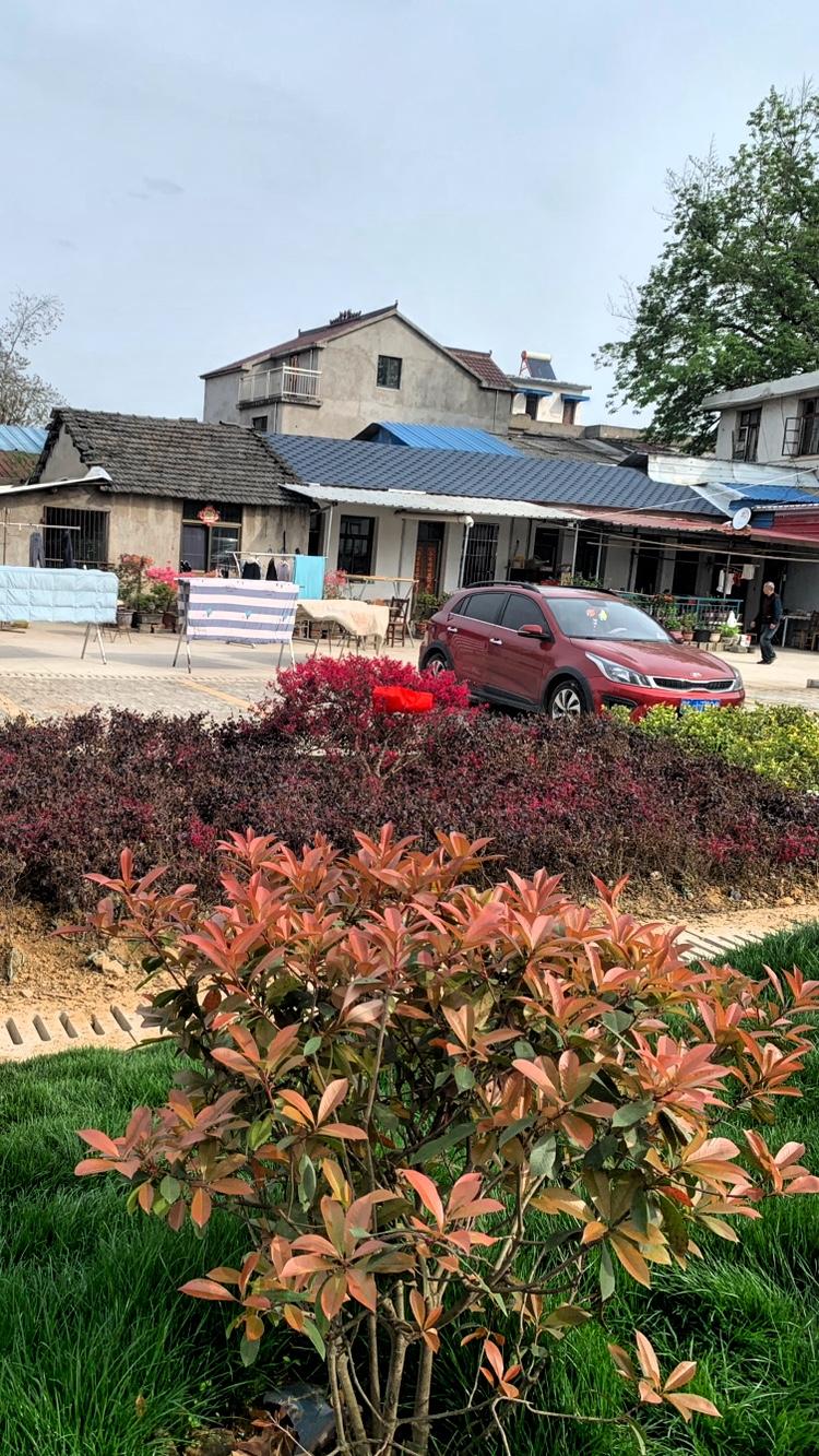 幸福生活是啥样子呢？
是清晨时分，
闹钟尚未声嘶力竭地叫嚷，
你便被鼻尖那股温热