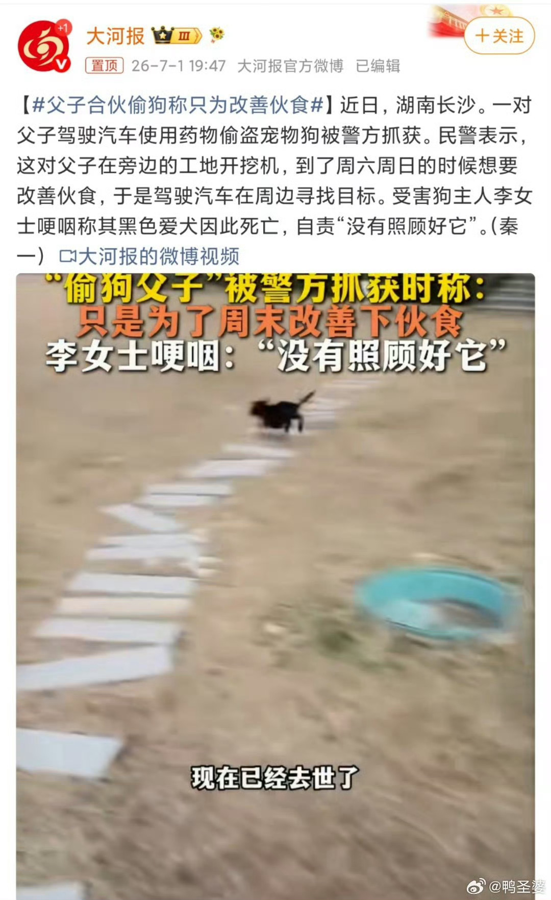 做好狗子价格评估，本案可能涉嫌犯罪了。父子合伙偷狗称只为改善伙食