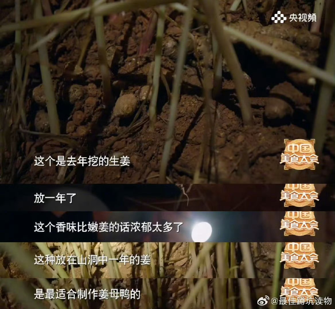 你知道姜还有姜母吗 中国美食大会上的福建泉州姜母鸭太绝了，别再误会姜母鸭是姜和母