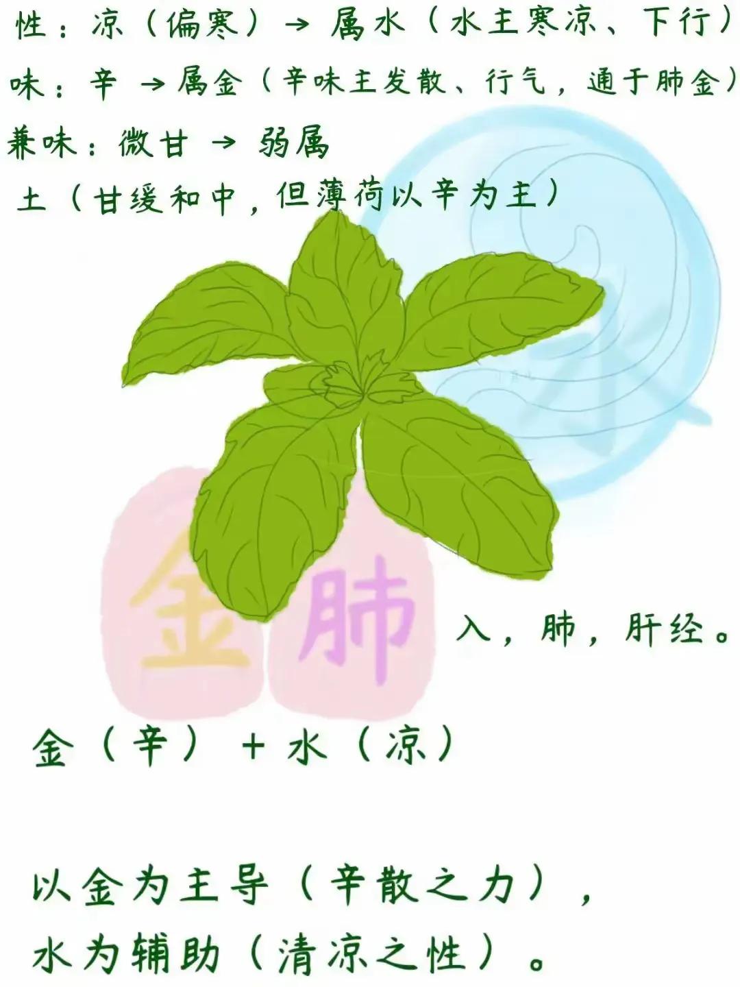 薄荷清凉提神，黄瓜生津止渴，比普通冷饮更解暑热。
这款饮品特别适合孩子饮用，
能