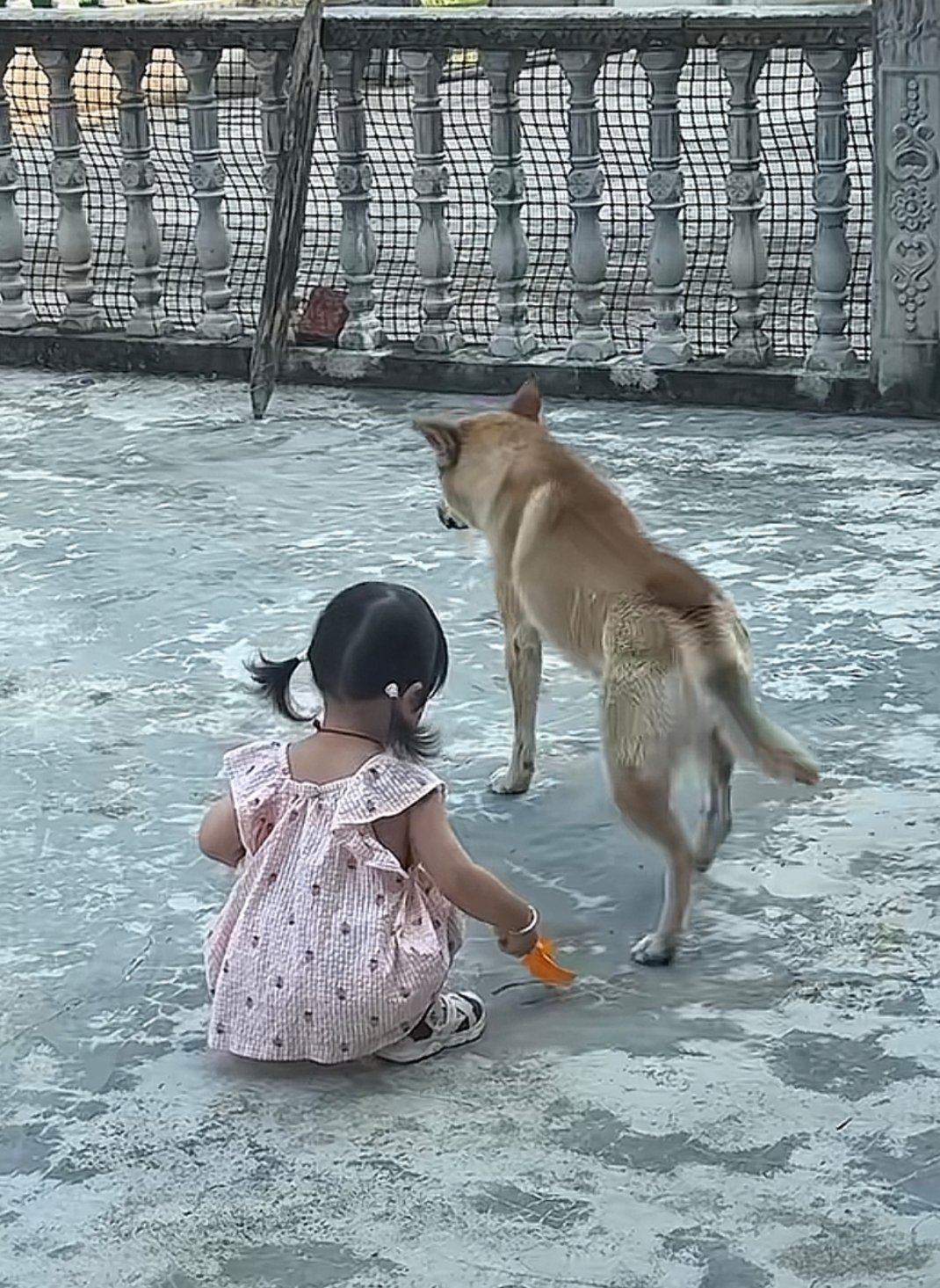 出走的决心 