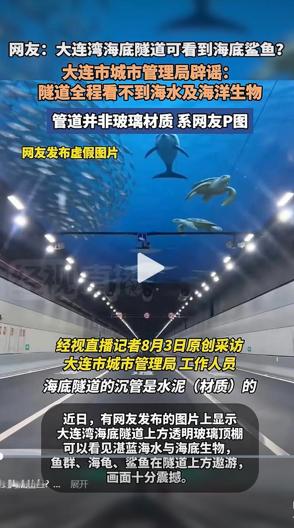 此前，社交平台流传一组极具吸引力的美图，让大连湾海底隧道迅速走红。网传图片显示，