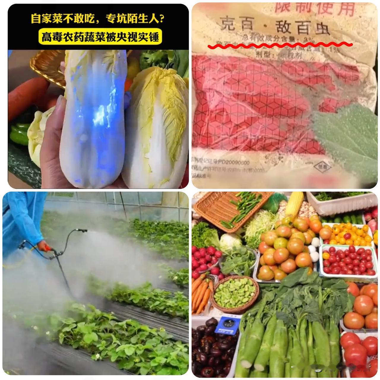 自己都不敢吃！
央视曝光天门毒菜地，
禁药换马甲暗地销售，万幸未流…
 
央视重