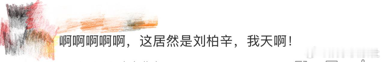 这居然是刘柏辛 我天啊‼️啊啊啊啊啊啊啊啊，看到这里好想说，这居然是刘柏辛，差点
