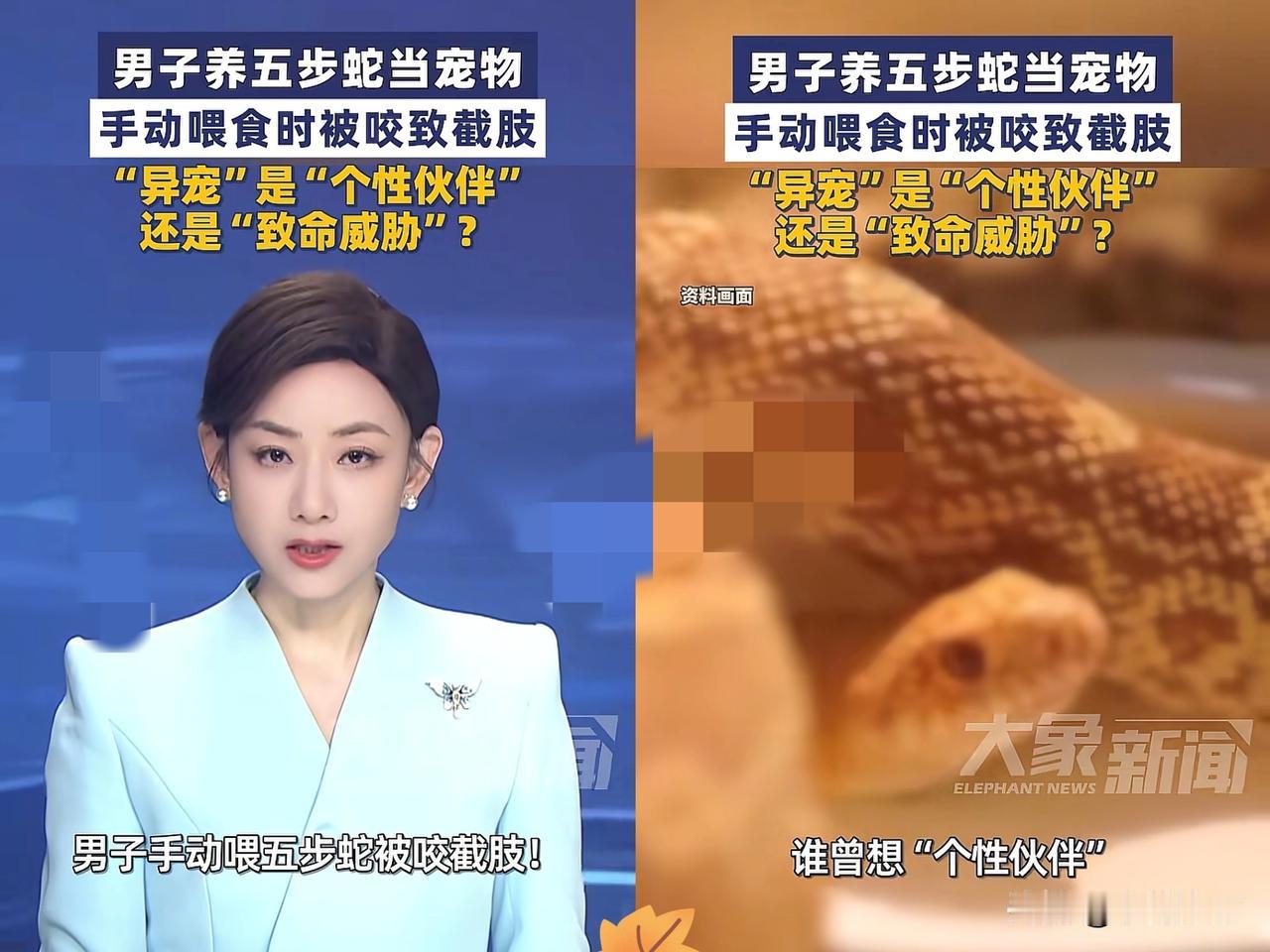 “悲剧还是发生了！”近日，北京，一男子把“五步蛇”当宠物养，结果蛇生病不肯进食，