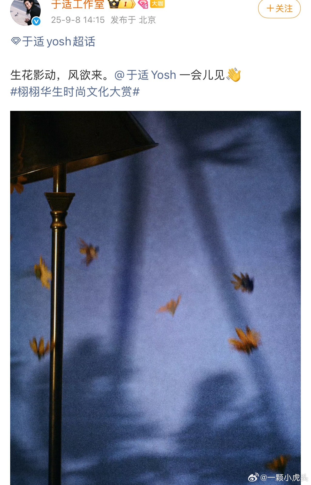 于适栩栩华生时尚文化大赏见，今天穿啥呢？蓝紫色？ ​​​
