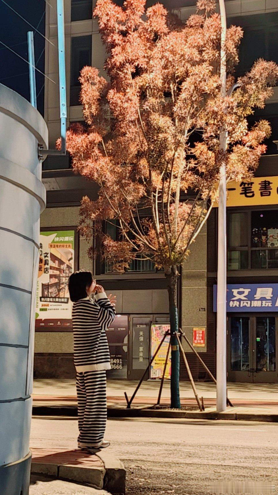 老马在路上 秋意袭人 ​​​