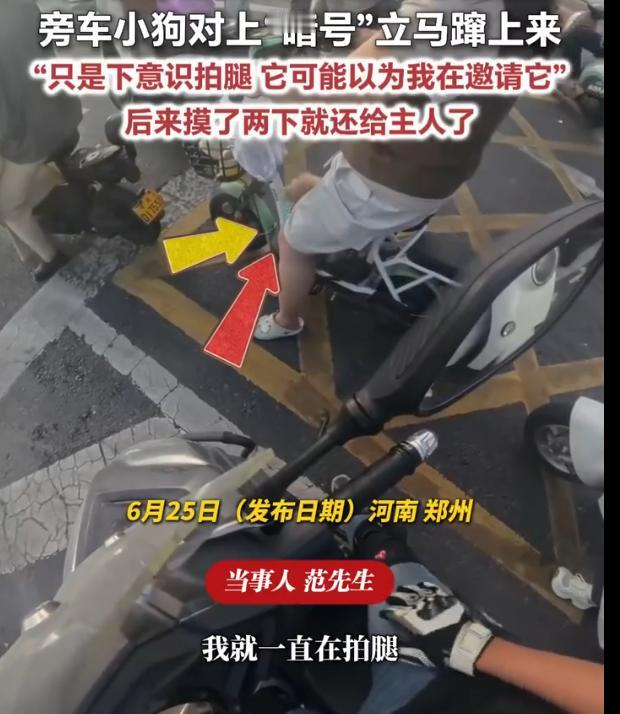 拍腿就是暗号！河南，一男子骑车等红灯，因天气炎热，他下意识地拍了拍大腿。没曾想，