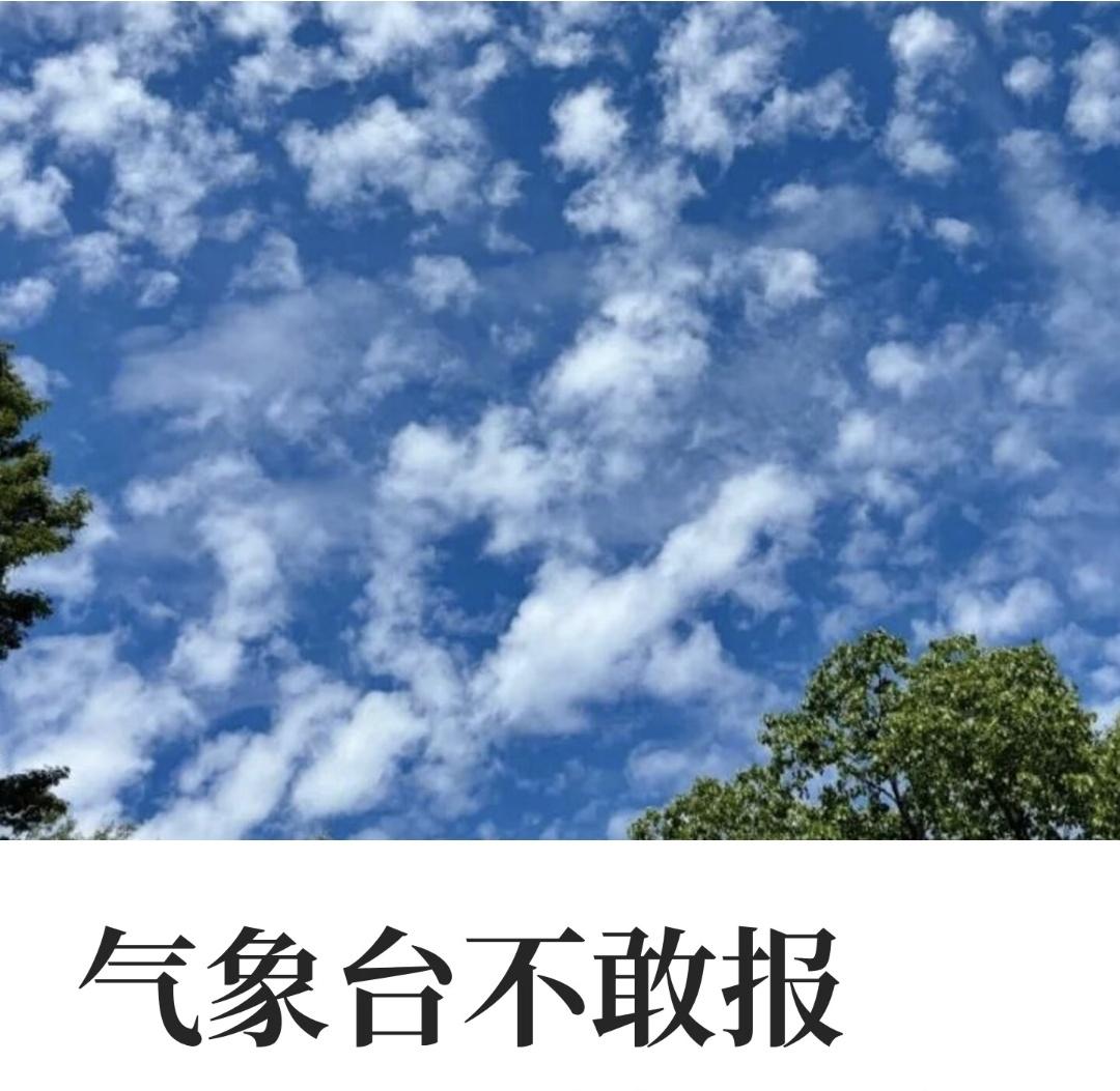 天气预报很少会报出40℃这个数字
但是汽车提示的温度都是43-46度
我感觉车子