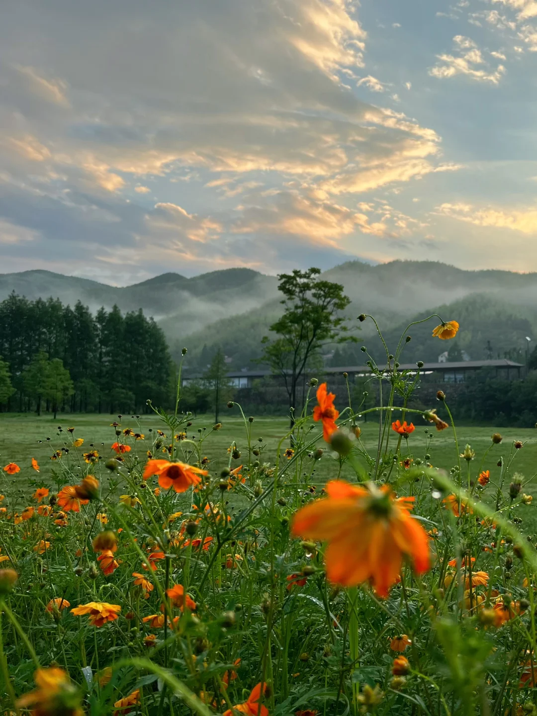 早晨的营地太美了🏕