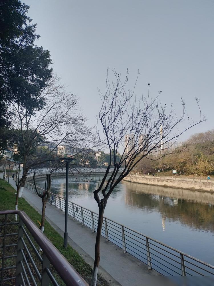 我亲大哥，今年57岁，2002年所在单位政策性破产，那年他33岁，一夜之间，他变