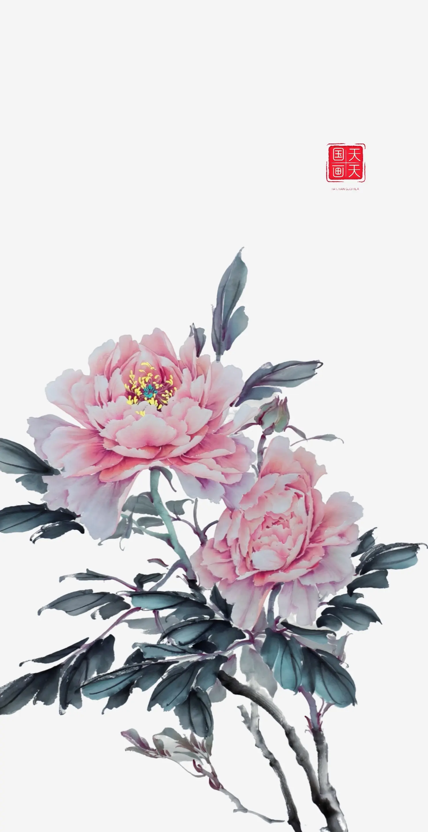 直播间作品走一波。