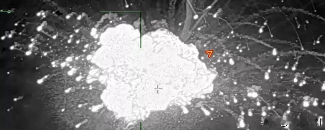 俄罗斯军方3月9日发布消息称，在顿涅茨克人民共和国波克罗夫斯克地区被摧毁的乌克兰