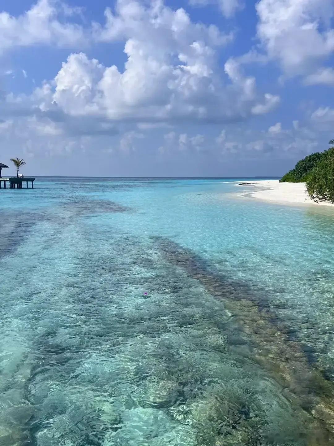 深海信息化！1，海底通信享通光电、光库科技、通光线缆、东方电缆、中天科技2，海底