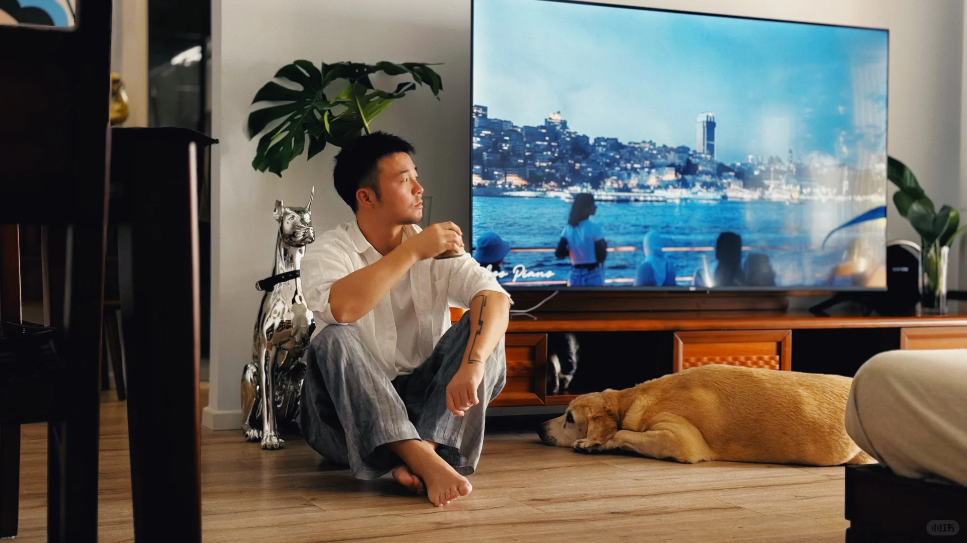 我在努力成为一个家居摄影博主