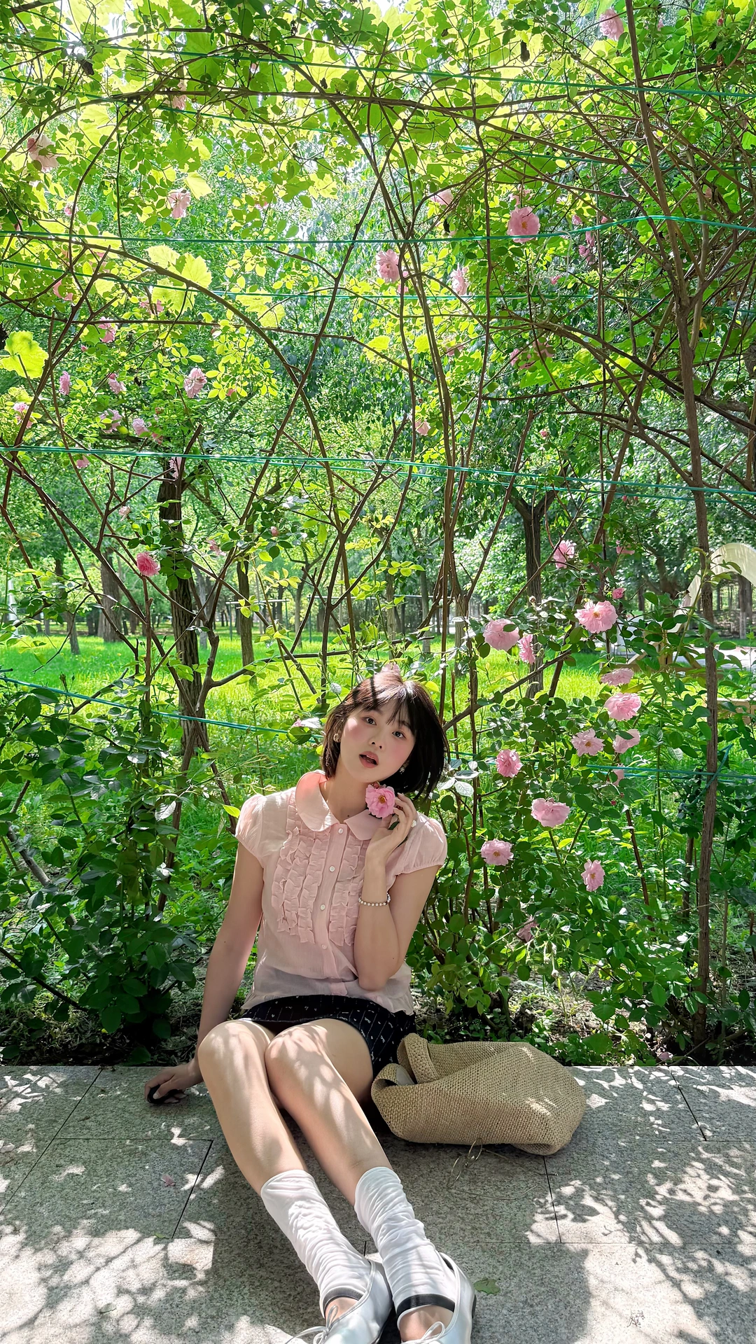 友谊公园清爽蔷薇花墙 人少景美