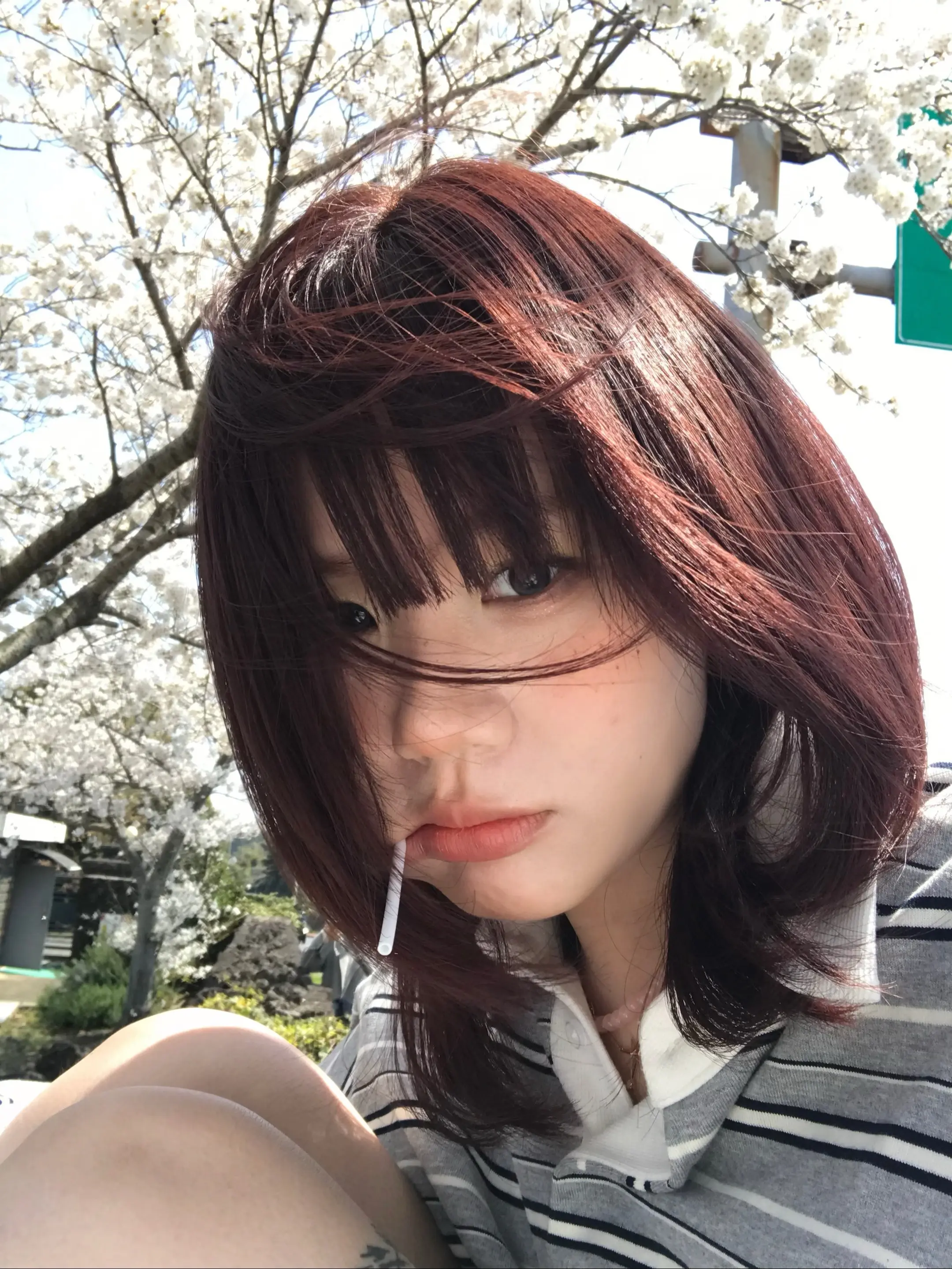 汇报！ 新发型来袭！拍了视频！嘿嘿（发色没有漂！好特别的粉棕！很喜欢啊...