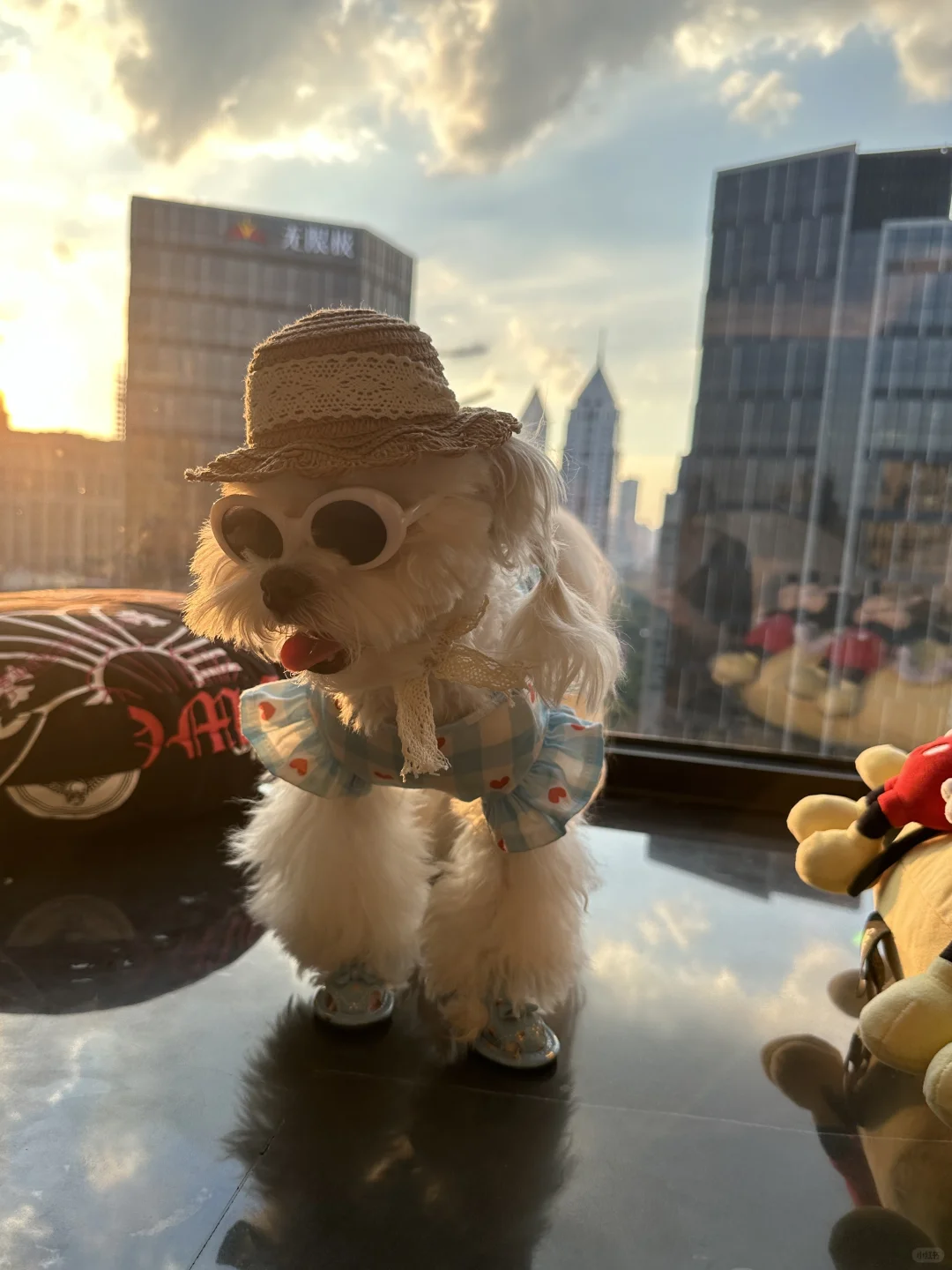 live图｜给大家看看我的凉鞋