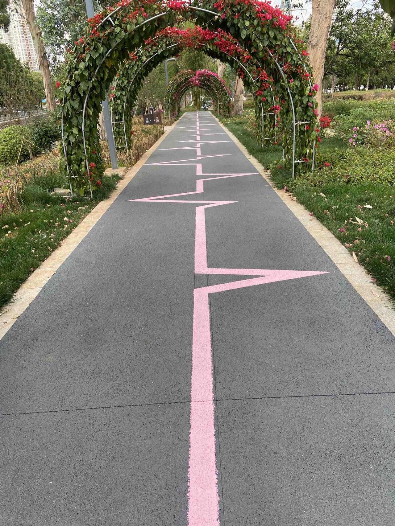 今天散步的时候，在红花绿叶花廊下又看到粉色的心跳，这是什么人，能想出这样的创意。