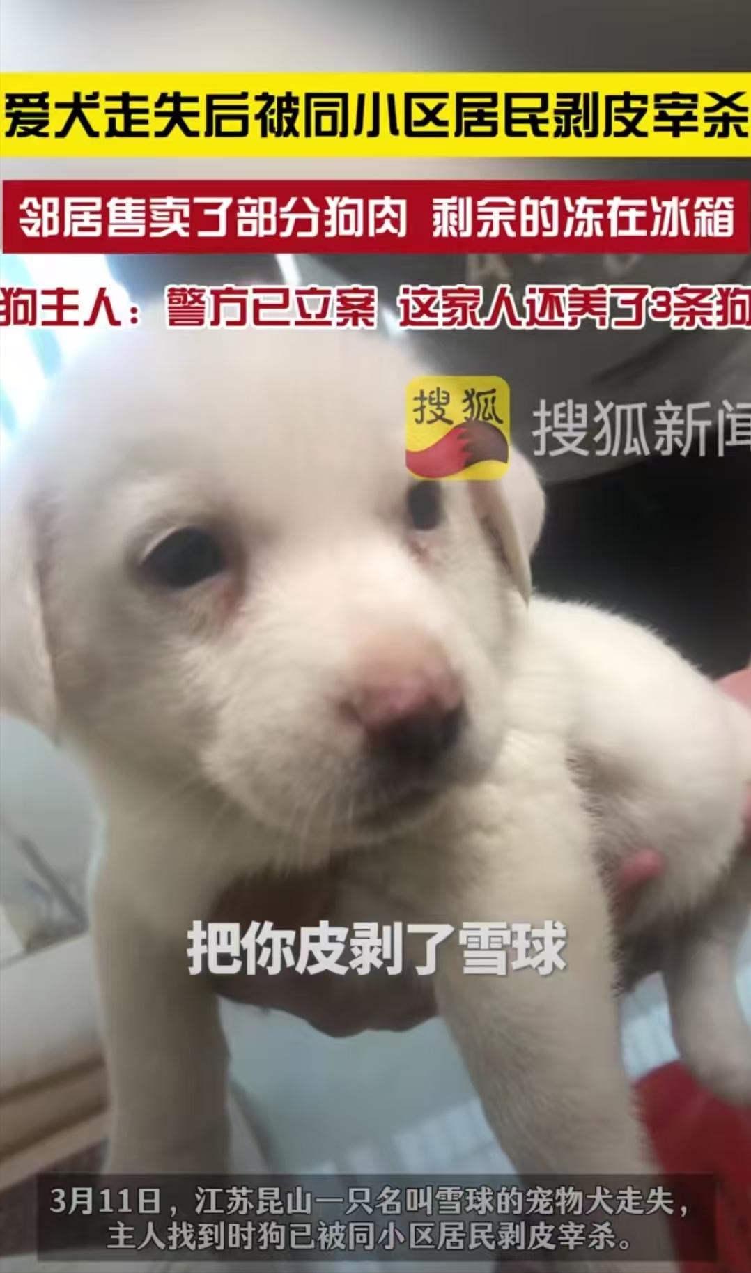 江苏昆山，女子没关好门，家里的狗跑了出去，结果被邻居老人剥了皮把肉卖了。女子和丈