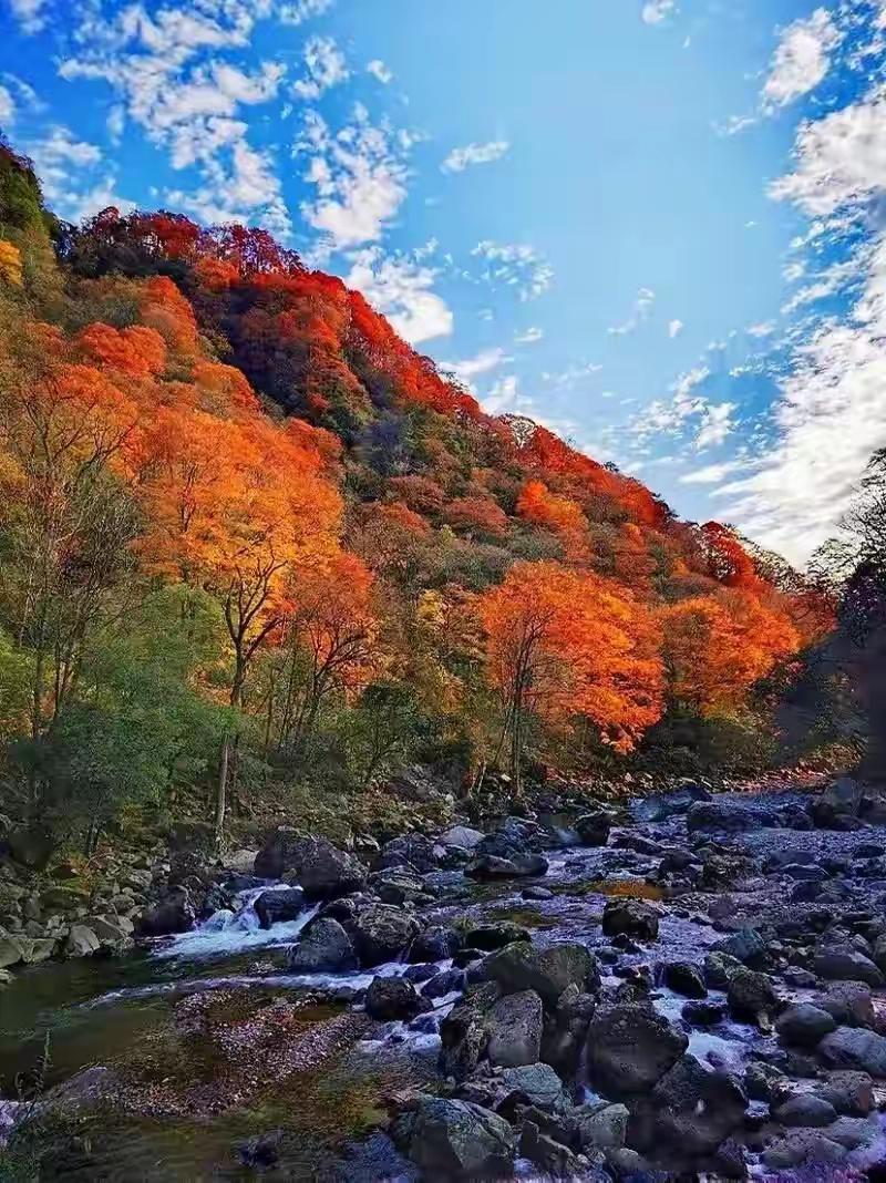 有人说四川除成都外，攀枝花、广元、巴中是存在感较低的城市。起初还想反驳，细想之下