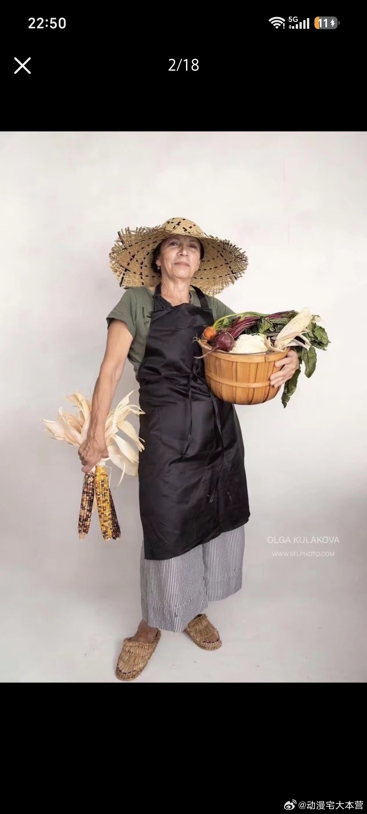 女性职业服饰参考 