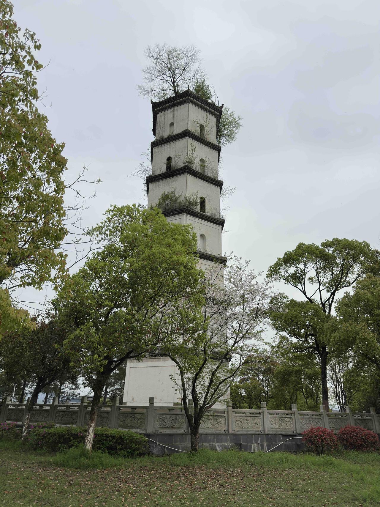 清明节到了，很多人都会去给去世的亲人扫墓，表达思念。

有句话听起来有点扎心：与